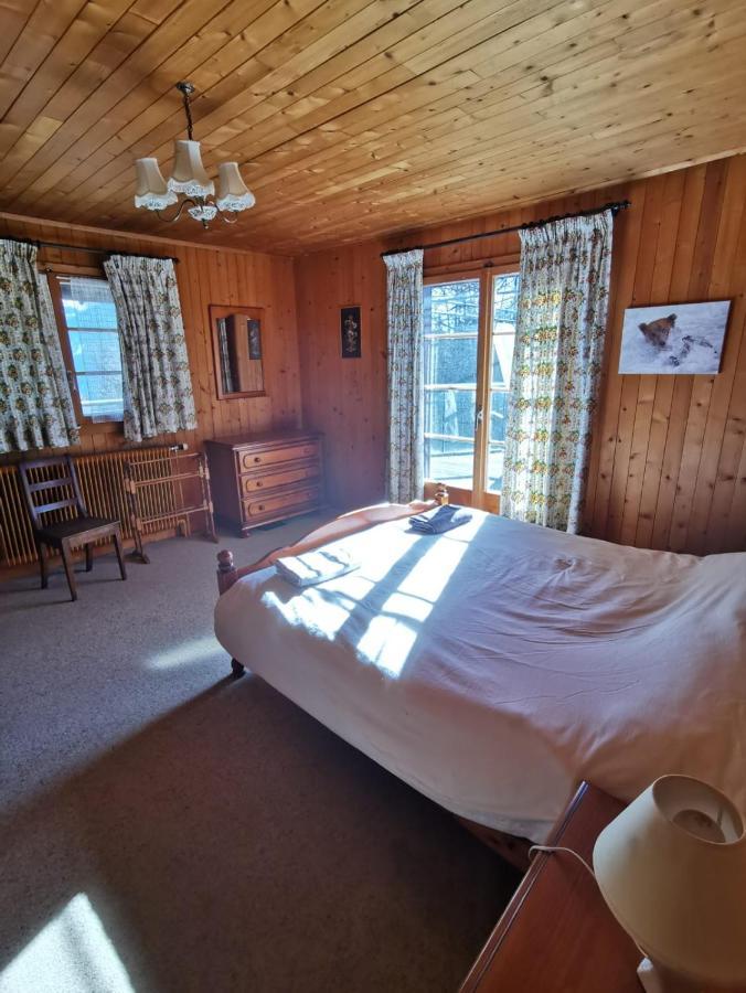 Bex Chalet Traditionnel Avec Jacuzzi Exterieur מראה חיצוני תמונה